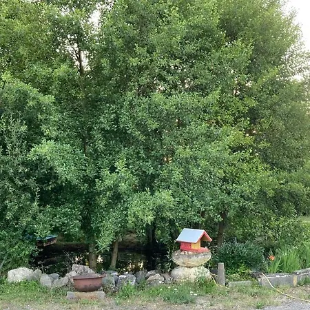 T3 Sur Fermette Avec Les Animaux Lusigny